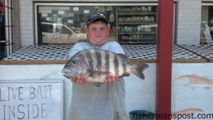 Matthew White (age 16), of St. Pauls, NC, with an 8 lb., 9 oz. sheepshead he hooked on a fiddler crab while fishing the ADM dock with family. Weighed in at Wildlife Bait and Tackle.