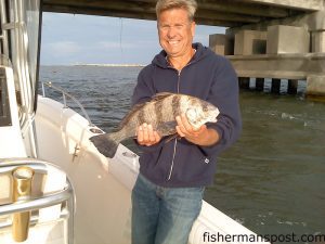 Greg Grotyohann with a black drum that bit a sand flea under the Bonner Bridge while he was fishing with Capt. Tom Gilliam of Quik Draw Charters.