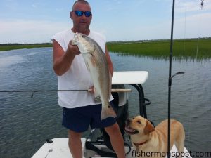Todd Sauls, of Washington, NC, with a 29" red drum he caught and released in the Newport River while fishing with Lee Padrick. The red struck a gold spoon.