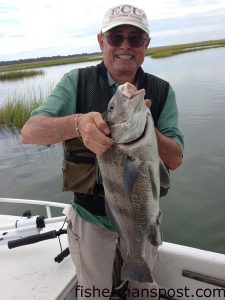 Andy Harris, of Greenville, NC, with a black drum that bit frozen shrimp in a marsh behind Bear Island.