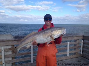 Nick Preziotti cradles a 41" red drum that bit a cut bait off the end of Jennette's Pier just prior to releasing the citation fish.