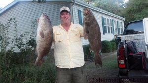 Jim Butler with a gag and a scamp grouper that bit dead cigar minnows in 100' of water while he was fishing on the "Voyager" off Little River Inlet.