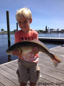 Harris McKoy (age 4), of Wilmington, with his first red drum, hooked on a live mullet near Bald Head Island.