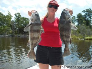 Wendy Etta with a pair of black drum she hooked on live shrimp in the New River while fishing with Capt. Jr. Sinclair of Fish Bones Charters.