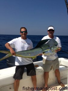 Steven Pantelakos and David Courie with a 42 lb. dolphin that bit a blue/white skirted ballyhoo near the Blackjack Hole while they were trolling out of Holden Beach with Stephen Fasul on the "Sea Assault."