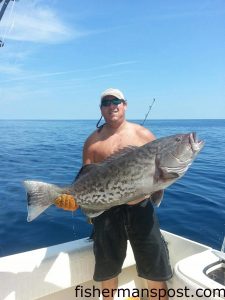 David Everhart with a 40 lb. gag grouper that he hooked on a live menhaden at some bottom structure in 120' of water off Southport while fishing on the "Heat Seeker."