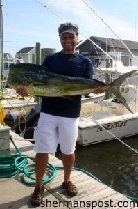 Paul Lovisa, of Ottawa, Canada, with a 25 lb. bull dolphin that bit a skirted ballyhoo while he was trolling offshore of Hatteras Inlet with Capt. Steve Garrett on the "Gambler."