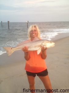 Terri Chabot, of Carolina Beach, with a 32" red drum that bit a finger mullet in the Carolina Beach Surf.