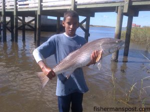 T.J. Farmer with a 35" red drum he caught and released near the Sunset Beach bridge after it struck a crab.