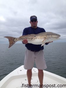 Jason Green, of Little River, SC, with a citation red drum that bit a live menhaden just off Little River Inlet while he was fishing with Capt. Mark Dickson of Shallow Minded Inshore Fishing Charters.