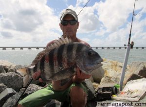 Pat Tomlinson with a citation 10.2 lb. sheepshead he hooked off the jetty at Oregon Inlet.