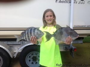 Brian Baysinger, of Colorado, with a sheepshead and a triggerfish that she hooked on a shallow wreck off Oregon Inlet while fishing with her uncle, Capt. Tom Gilliam, on the Quik Draw. The sheepshead fell for a sand flea and the trigger a piece of squid.