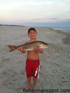 Cade Auman (age 7), of Seagrove, NC, with a 24" red drum that bit cut mullet in the Holden Beach surf.