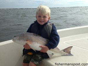 Brayden McMullan (age 4) with a 30" red drum he caught and released in Little River Inlet after it struck a live mullet. He was fishing with his father, Capt. Brant McMullan of Ocean Isle Fishing Center.