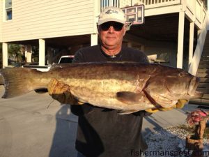 Billy Stokes with a 32" gag grouper that he hooked around some bottom structure in 70' of water off New River Inlet.