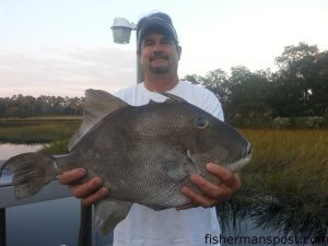 Todd Helf with a 7 lb. triggerfish that bit a bucktail jig/soft plastic combo 40 miles off Little River Inlet while he was fishing with Capt. Lee Morrow on the "Miss Calabash."