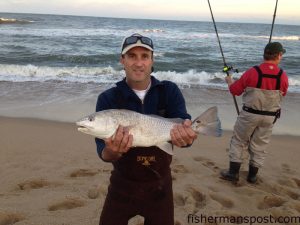 Allen Davis, of Raleigh, NC, with a puppy drum he hooked near the Buxton jetties on cut bluefish.