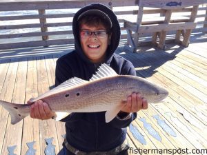 Grayson Warner (age 11), of Manteo, with a 25" puppy drum that bit a chunk of mullet off Jennette's Pier.
