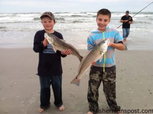 Justin Cleary (age 7) and Davin King (age 9), of Sanford, NC, with 24 and 25.5" red drum that bit cut bluefish in the surf at the south end of Topsail.