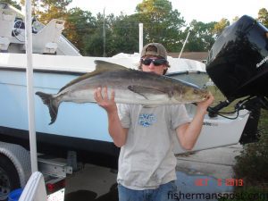 Mitch Barber with a 32 lb. cobia that bit a blue/white-skirted ballyhoo near the Horseshoe while he was fishing with his father and friends on the "Wavepounder."