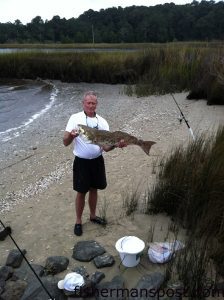 Jim Cathey, of Concord, NC, with a 36" red drum that bit a frozen finger mullet near Little River.