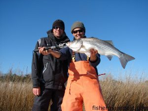 Publisher Gary Hurley, fishing with Capt. Stu Caulder of Gold Leader Guide Service, with one of the stripers he caught in the 2014 Cape Fear River Watch Striperfest. This 28" fish struck a 5" pink MirrOlure Provoker using a 5/0 Moaner twist lock weedless hook.