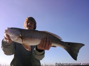 Cooper Ellis, of Columbus, OH, with a red drum that bit a live bait near Oak Island while he was fishing with Capt. Greer Hughes of Cool Runnings Charters.
