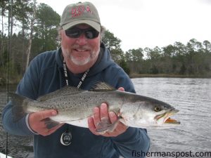 Capt. Gary Dubiel, of Spec Fever Guide Service, with a healthy speckled trout he hooked on a weedless D.O.A. soft plastic in a creek off the lower Neuse River.