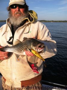 Capt. Dave Stewart, of Knee Deep Custom Charters, with a striped bass that bit a Unfair Lures topwater in the Neuse River near New Bern.