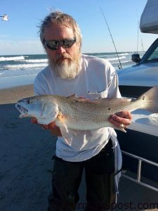 Tim Norris, of Raleigh, NC, with a puppy drum that bit a cut bait in the Ocracoke surf. Photo courtesy of Tradewinds Tackle.
