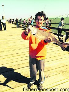 Tommy Dale, of Horseheads, NY, with a 19" red drum that bit cut shrimp off Kure Beach Pier.