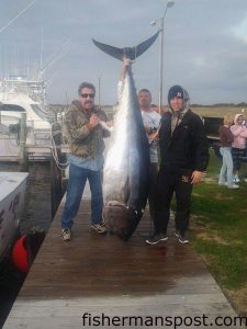 Paul Collins and his son with a 478 lb., 97" bluefin tuna that inhaled a ballyhoo offshore of Oregon Inlet while they were fishing with Capt. Lee Collins on the charterboat "Strike 'Em" out of the Oregon Inlet Fishing Center.