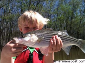 Andrew Logan (age 5) with his first striped bass, hooked in the lower Roanoke River while he was fishing with Capt. Mitch Blake of FishIBX.com.
