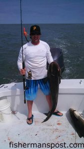 Joel Gretsch, of Avon, with a 54 lb. cobia he landed after sight-casting a bucktail jig on a 7' Century Ultimate Boat Rod.