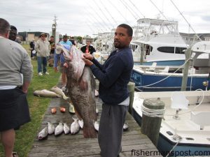 Paul Freeman III with a 48 lb. gag grouper (a potential NC state record) he hooked while bottom fishing off Hatteras Inlet on the "Bluefin" out of Teach's Lair Marina.
