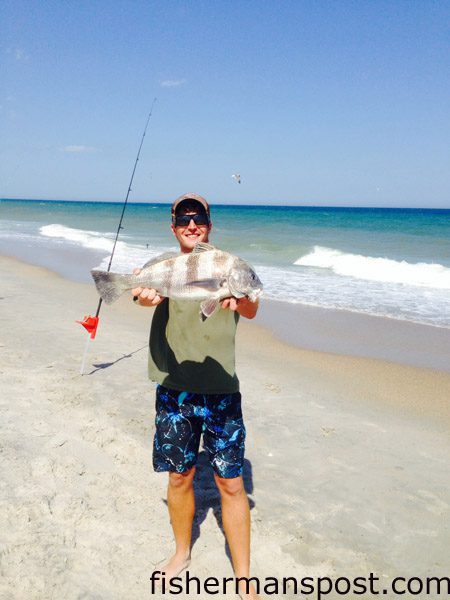 Brent Hinson, of Wilmington, with a 24″ black drum that bit shrimp in the surf at Wrightsville Beach.