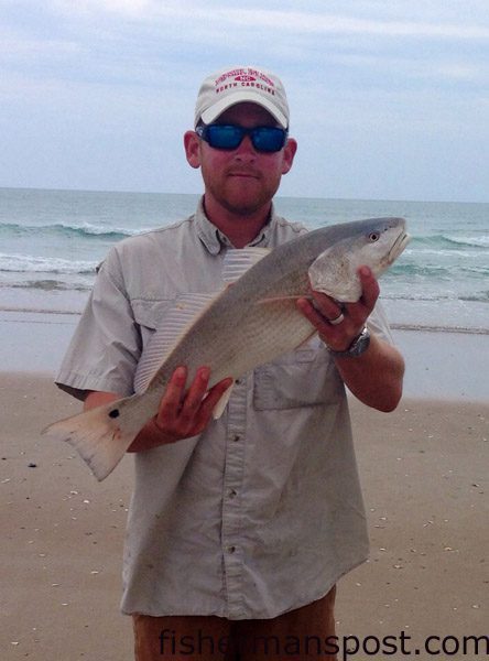 Wesley Roberson, of Lillington, NC, with a 26″ red drum that bit a cut bait in the surf at the south end of Topsail Island.