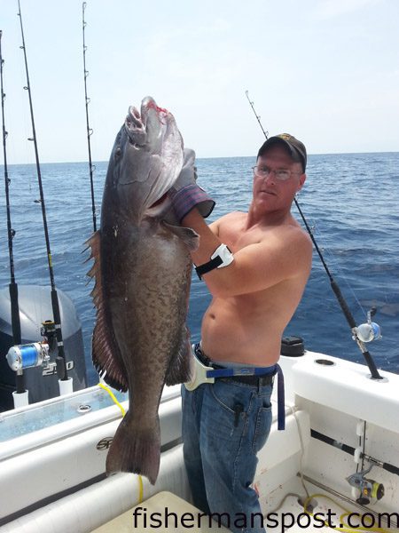 Matthew “Bambam” Huff, of Raleigh, with a 42.14 lb. gag grouper (3 lbs. off the state record) that attacked a 200g knife jig in 280′ of water offshore of Frying Pan Tower while he was fishing aboard the “Bubbles” out of Southport.