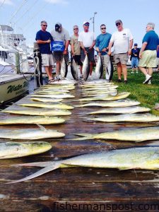 Gary Gilbert and friends from Durham, NC, with a big haul of gaffer dolphin, seven yellowfin tuna, and a white marlin release flag, results of a mid-May trip offshore of Oregon Inlet with Capt. Dave Peck on the "Skiligal" out of Oregon Inlet Fishing Center.