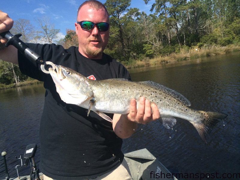 Brent Griffin, of Newport, NC, with a speckled trout he hooked in a creek off the Neuse River. The fat speck fell for a Mardi Gras-colored MR17 MirrOlure.