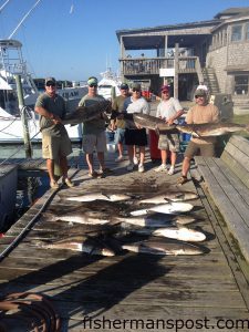 Bucky Zentner and friends with cobia to 78 lbs. they hooked while sight-casting to fish off Hatteras Inlet with Capt. Jeremy Hicks on the "Capt. Snag" out of Oden's Dock.