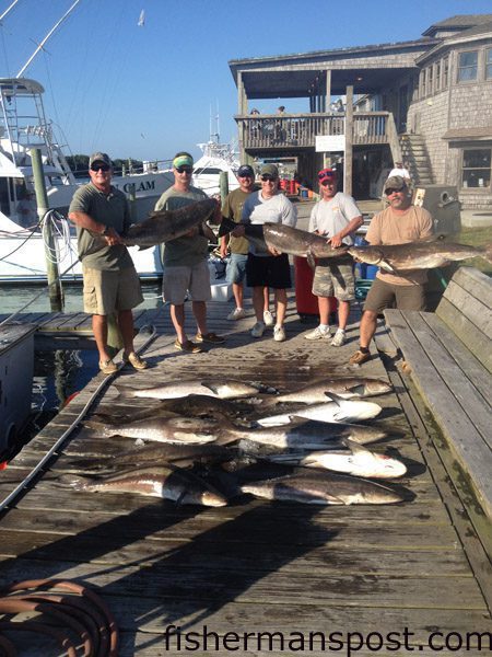 Bucky Zentner and friends with cobia to 78 lbs. they hooked while sight-casting to fish off Hatteras Inlet with Capt. Jeremy Hicks on the “Capt. Snag” out of Oden’s Dock.