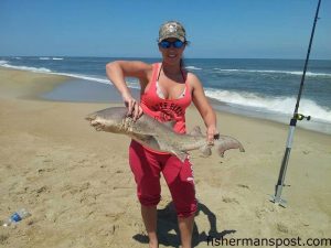 Kandyce Harrison with a sand tiger shark that bit a cut bait in the surf at Salvo. Photo courtesy of TW's Tackle.