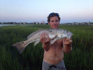 Pete Shaw with a 23" red drum that struck a live finger mullet inshore at Wrightsville Beach.