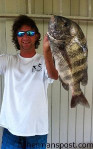 Gary Hinson with a 7 lb. sheepshead that bit a live shrimp in the ICW near Oak Island while he was fishing with Capt. Ryan Rayfield on the "Conjured Too."