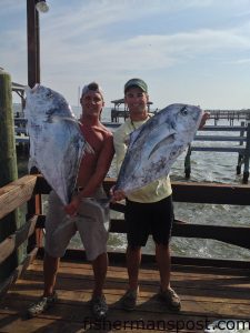 Nicholas Reschly and Tommy Scheetz with 25 and 22 lb. African pompano that bit cigar minnows while they were fishing near Frying Pan Tower.