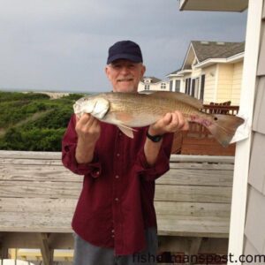 Steve Brown, of Greenville, TN, with a 25" puppy drum he hooked from the beach at Corolla on a sand flea.