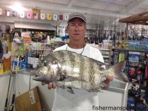 Tom Gilliam with an 8 lb., 14 oz. sheepshead that bit a sand flea at the Bonner Bridge. Weighed in at TW's Bait and Tackle.