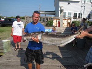 Chris Peeples with an 84 lb. cobia he hooked while surf fishing at Ramp 55 at Hatteras Village. Weighed in at Teach's Lair Marina.