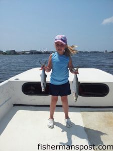 Ellie Williams (age 6) with a pair out of a limit catch of spanish mackerel she hooked while trolling just off Carolina Beach with Capt. Charlie Schoonmaker of Back Bay Fishing Charters.
